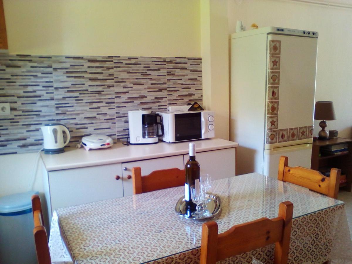 Galini Apartment Mytikas  Exterior photo