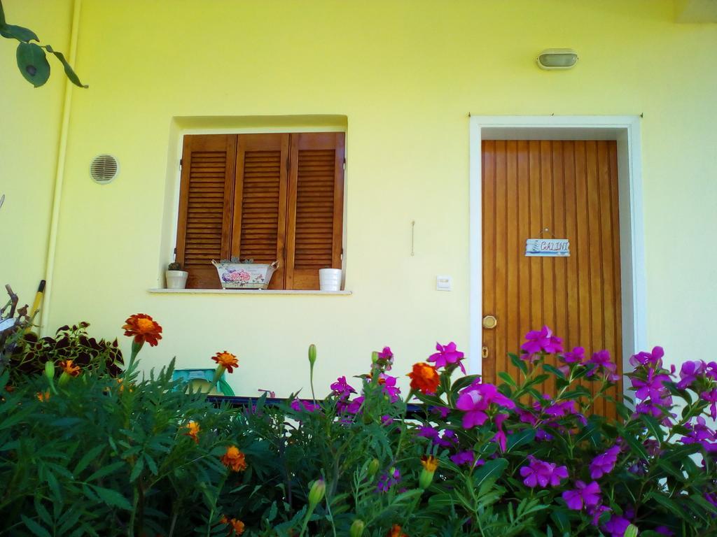Galini Apartment Mytikas  Exterior photo